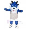 Tiger mascot costume