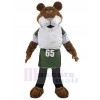 Tiger mascot costume