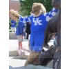 Tiger mascot costume