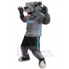 Tiger mascot costume