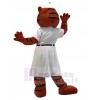 Tiger mascot costume