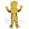 Tiger mascot costume