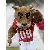 Tiger mascot costume