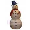 Snowman mascot costume