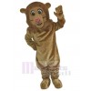 Lion mascot costume
