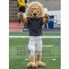 Lion mascot costume
