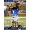 Lion mascot costume