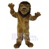 Lion mascot costume