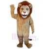 Lion mascot costume