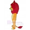 Lion mascot costume