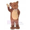 Lion mascot costume