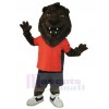 Lion mascot costume