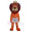 Lion mascot costume
