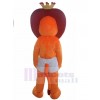 Lion mascot costume