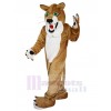 Leopard mascot costume