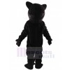 Panther mascot costume