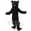 Panther mascot costume