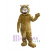 Cougar mascot costume
