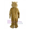 Cougar mascot costume