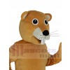 Beaver mascot costume