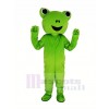 Green Frog Mascot Costume