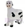 Dairy Cow mascot costume