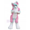 dog mascot costume