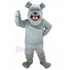 dog mascot costume