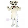 Dog mascot costume