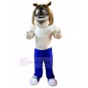 Dog mascot costume