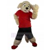 dog mascot costume