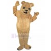 bear mascot costume