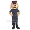 dog mascot costume