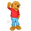 dog mascot costume