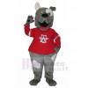 dog mascot costume