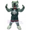 dog mascot costume