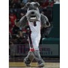 dog mascot costume
