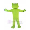 Frog mascot costume