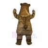 Bear mascot costume