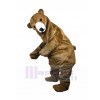 Bear mascot costume