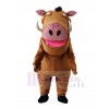 Boar mascot costume