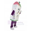 Ice Cream mascot costume