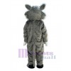 Wildcat mascot costume