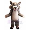 wildcat mascot costume