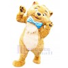 cat mascot costume
