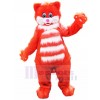 cat mascot costume