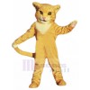 cat mascot costume