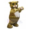 cat mascot costume