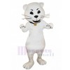 cat mascot costume