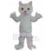 cat mascot costume